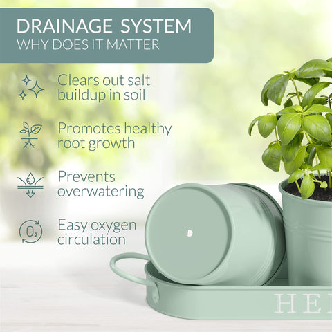 Barnyard Designs compact indoor/outdoor herb pots ready for herbs like basil