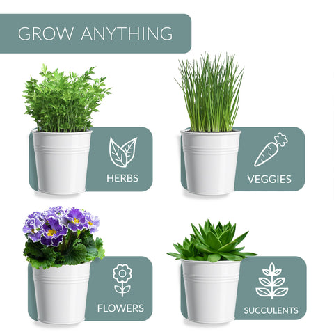Barnyard Designs versatile indoor outdoor herb pots shown in a compact trio