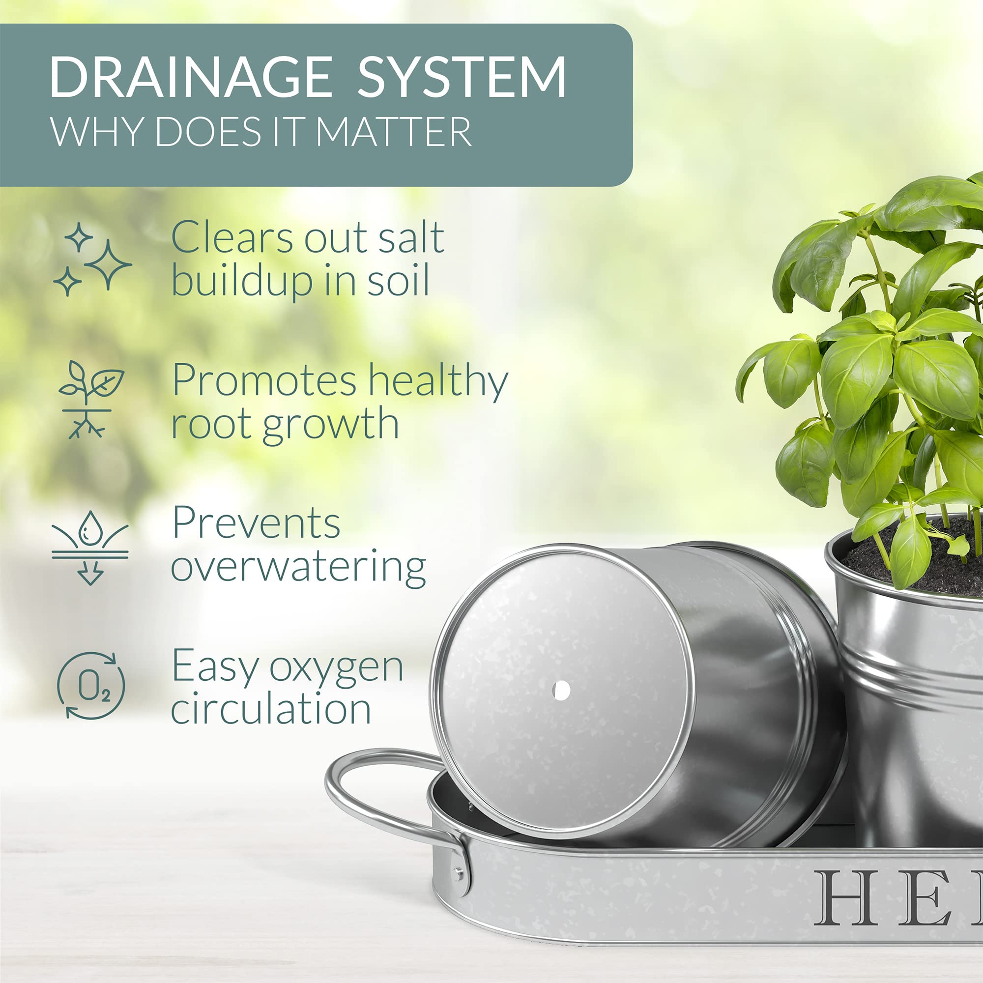 Barnyard Designs window sill herb garden for bright display.