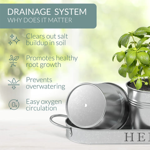 Barnyard Designs window sill herb garden for bright display.