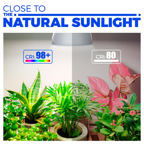 Barrina 16.4 ft power cord for easy hanging placement