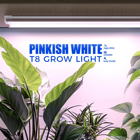 Barrina 3ft pinkish-white grow light strip supports seedling growth.