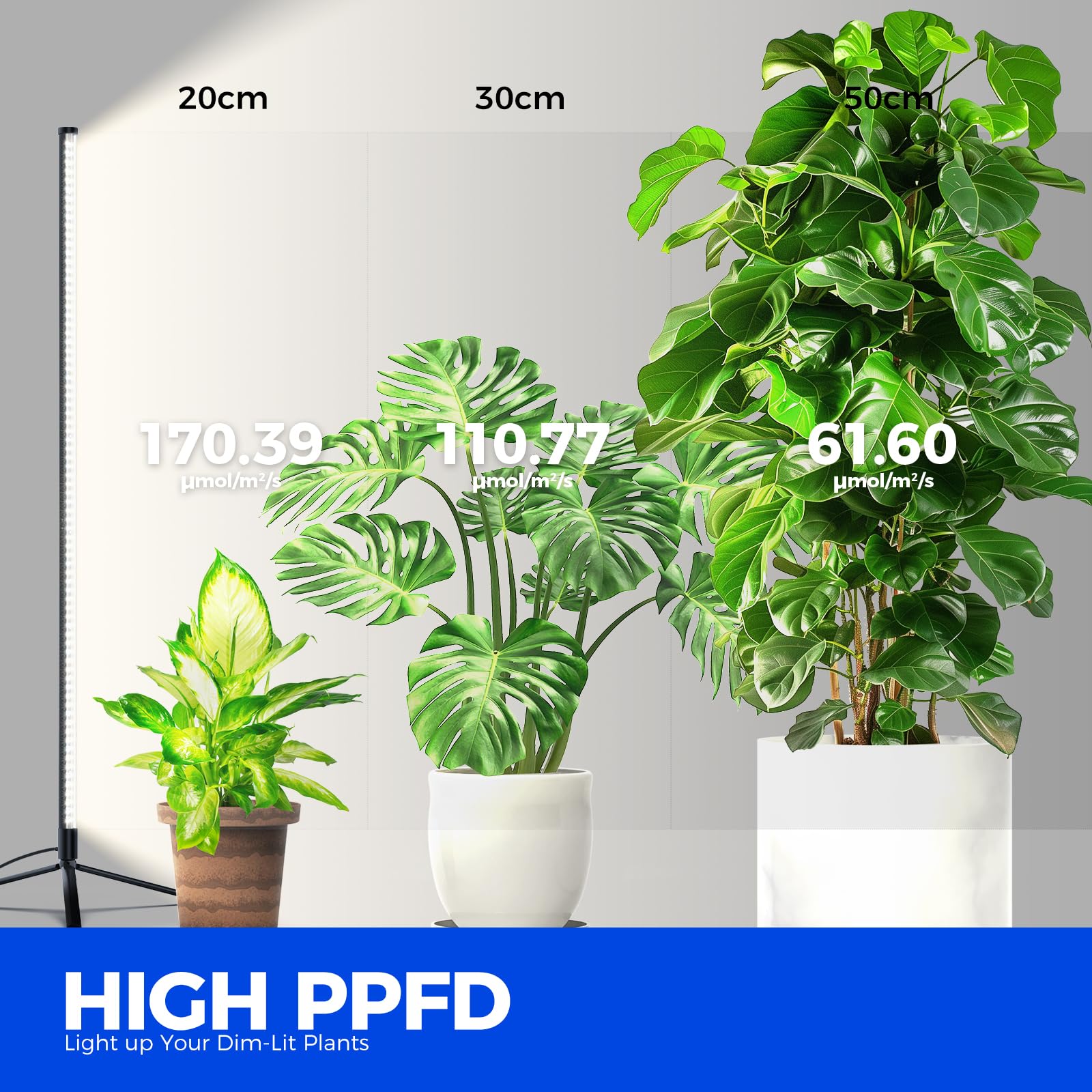 Barrina 5000K full-spectrum LEDs mimic daylight for diverse plants