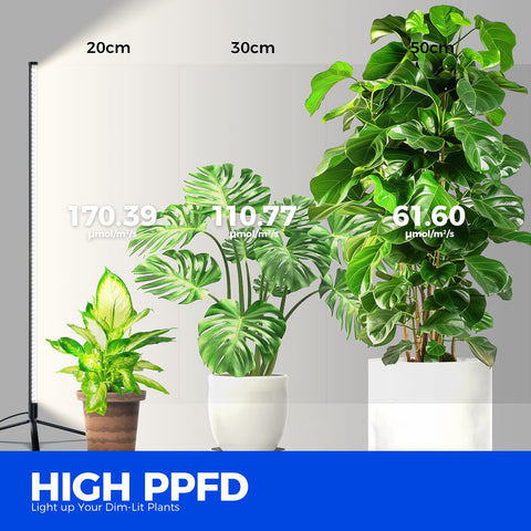 Barrina 5000K full-spectrum LEDs mimic daylight for diverse plants