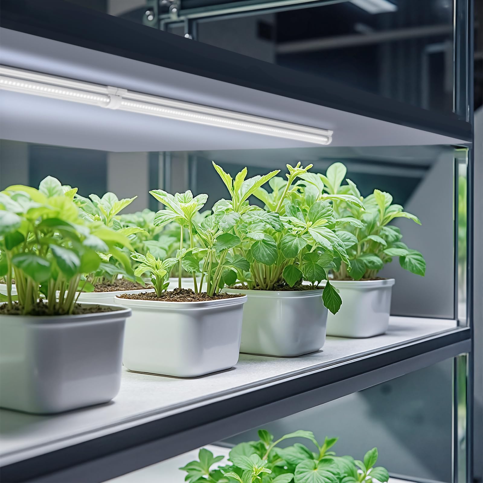 Barrina aluminum shell with heat dissipation for longer LED life.