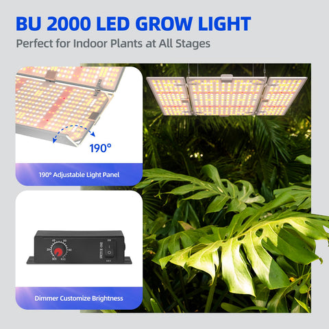 Barrina BU2000 full-spectrum LEDs simulate daylight for plant growth.