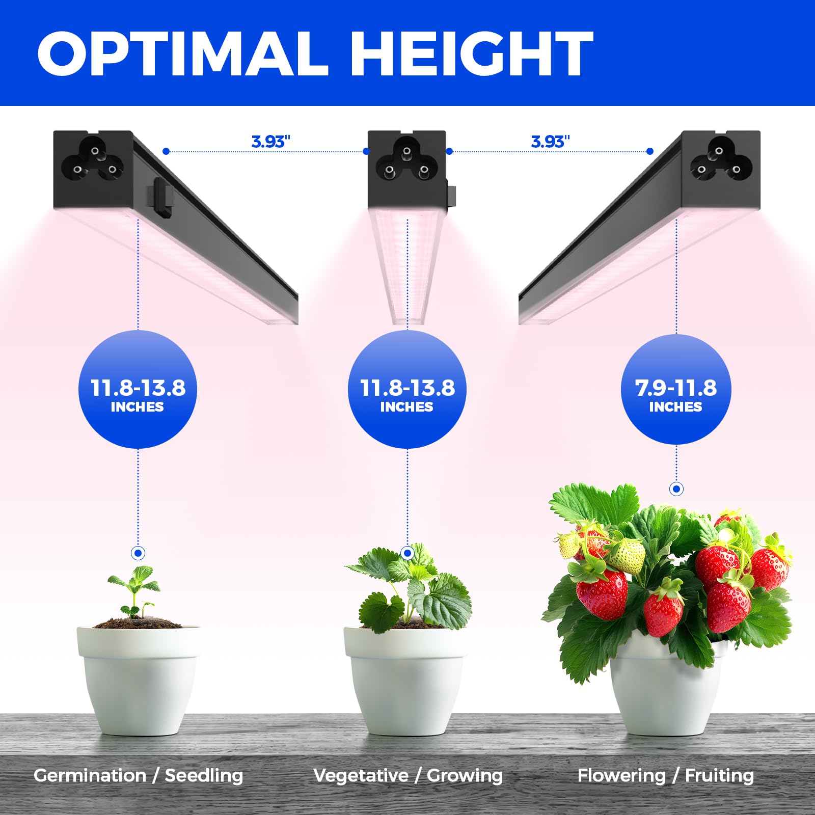 Compact 1ft strip for seedling trays and small pots.