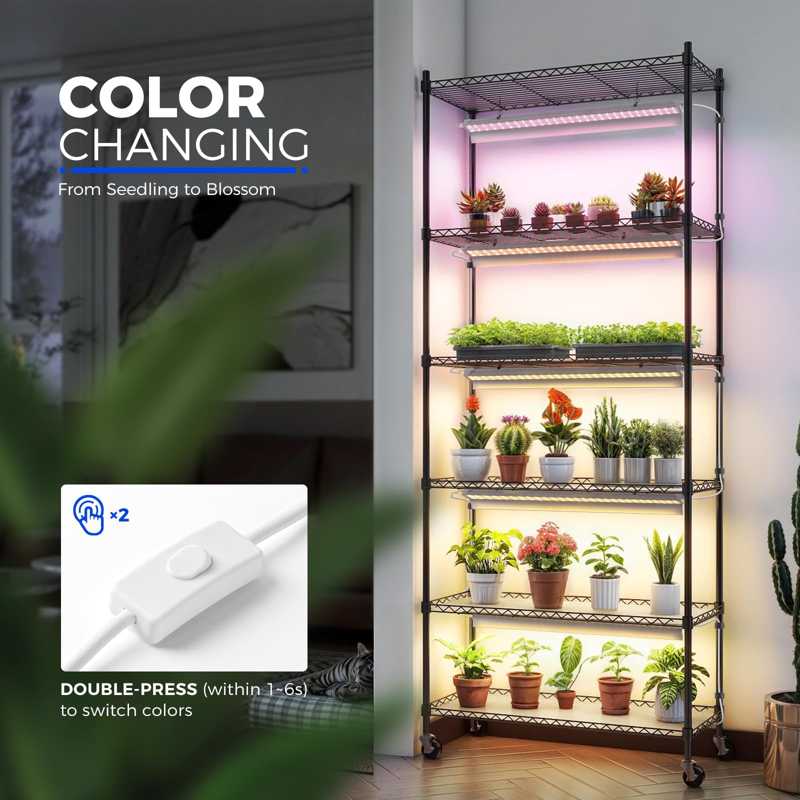Barrina CX2 2ft LED grow light panel provides full-spectrum illumination.