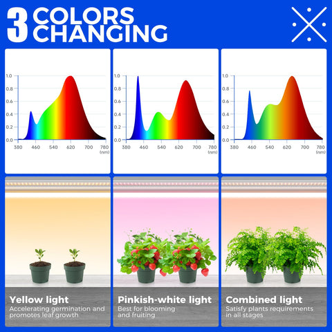 Barrina CX2 reflectors boost efficiency and plant performance.