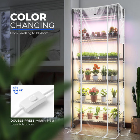 Barrina CX2Z grow light full-spectrum setup boosts indoor plant growth.