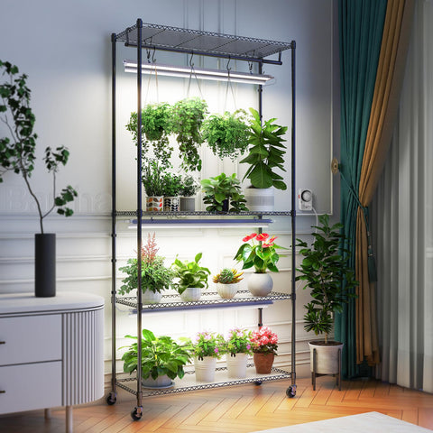 Barrina CX3 four-tier indoor greenhouse displaying shelves.