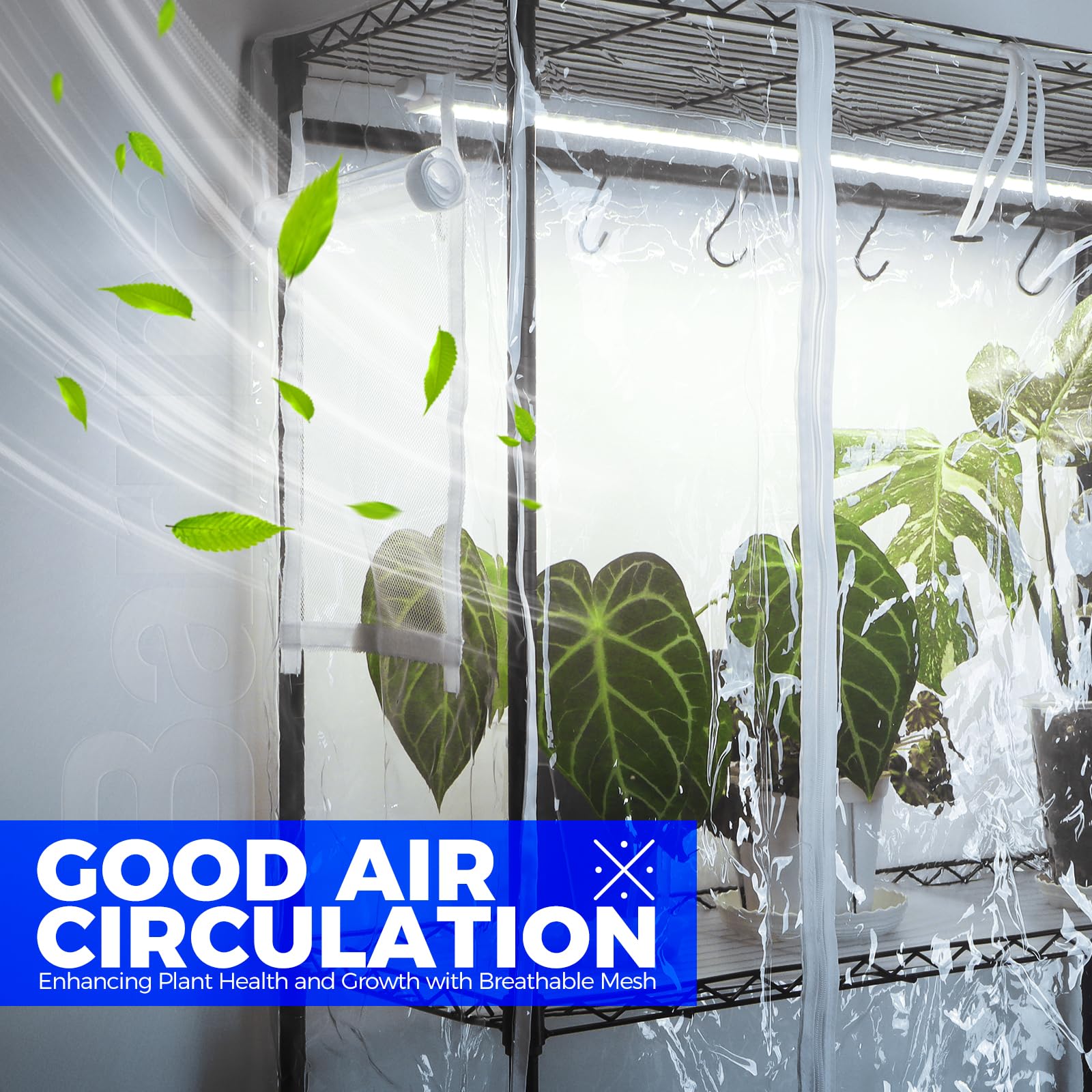 Barrina CX3Z four-tier shelf keeps herbs and succulents neatly organized with full spectrum light.