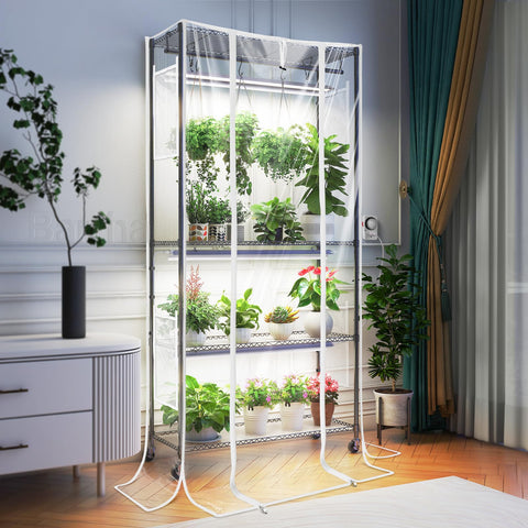 Barrina CX3Z grow light panels illuminate seedlings for steady indoor growth.