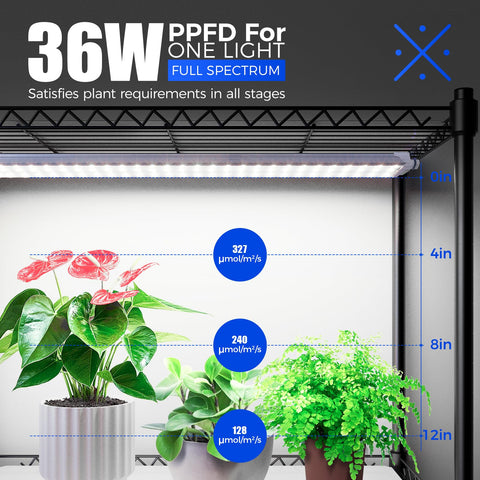 Barrina CX3Z EVA cover seals humidity to help indoor plants thrive.