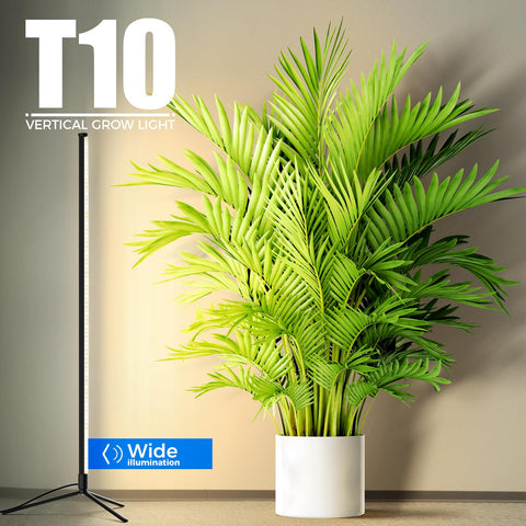 Barrina full-spectrum 42W with 169 LEDs supports vibrant leaves.