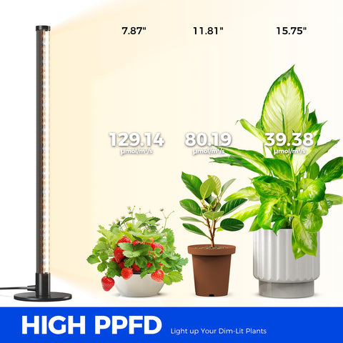 Barrina full-spectrum warm white delivers vibrant colors for plant health monitoring.