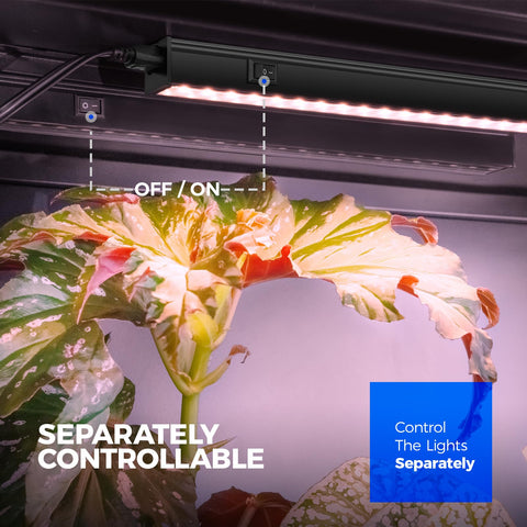 Pinkish white spectrum highlights plant growth in home setup.
