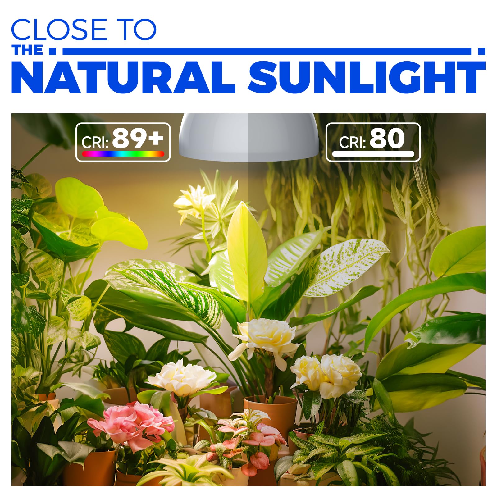 Barrina hanging grow light with 16.4 ft cord for easy installation.