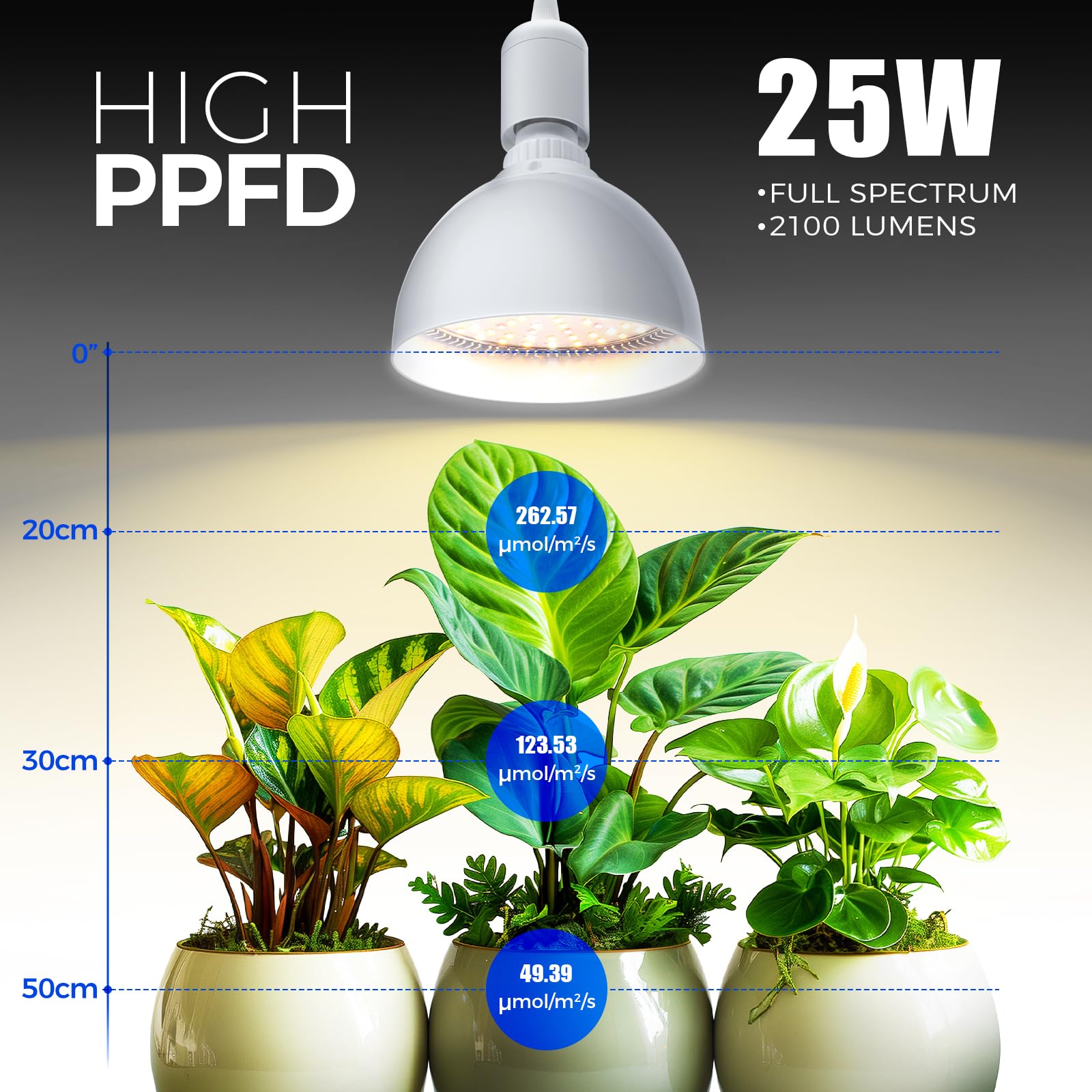 Barrina full-spectrum light shown delivering balanced brightness for seedlings indoors.