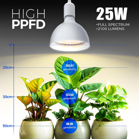 Barrina full-spectrum light shown delivering balanced brightness for seedlings indoors.