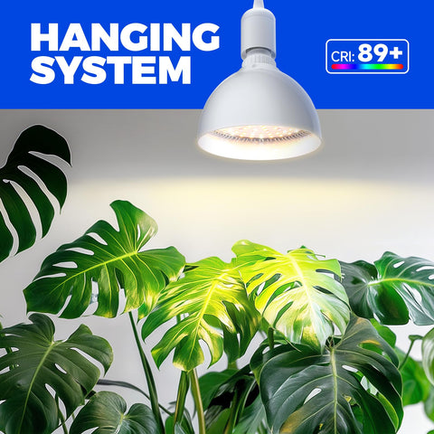 Barrina light offers high CRI 89+ for natural plant colors.