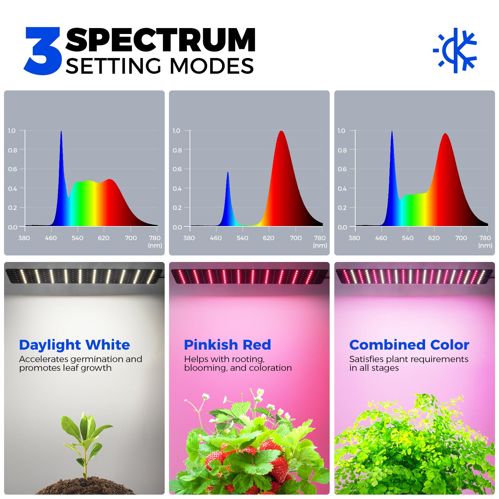 Barrina light with seven brightness levels allows tailored illumination for seedlings.