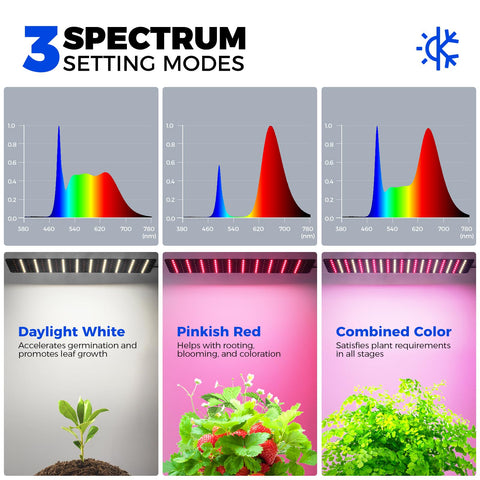 Barrina light with seven brightness levels allows tailored illumination for seedlings.