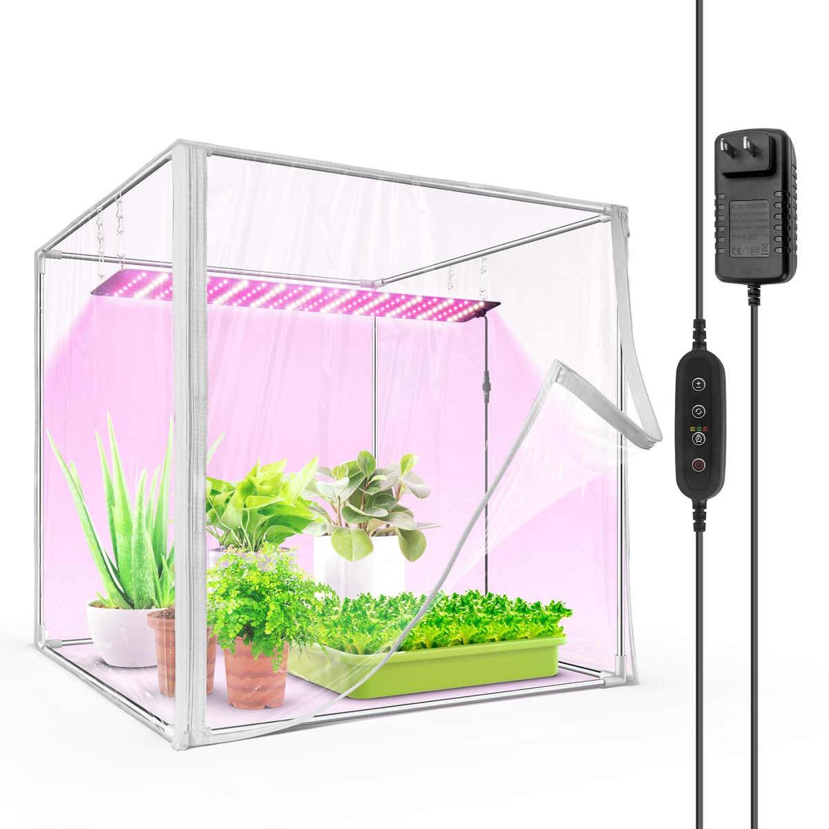 Barrina indoor greenhouse seed-starting setup promotes reliable germination in a warm, moist environment.