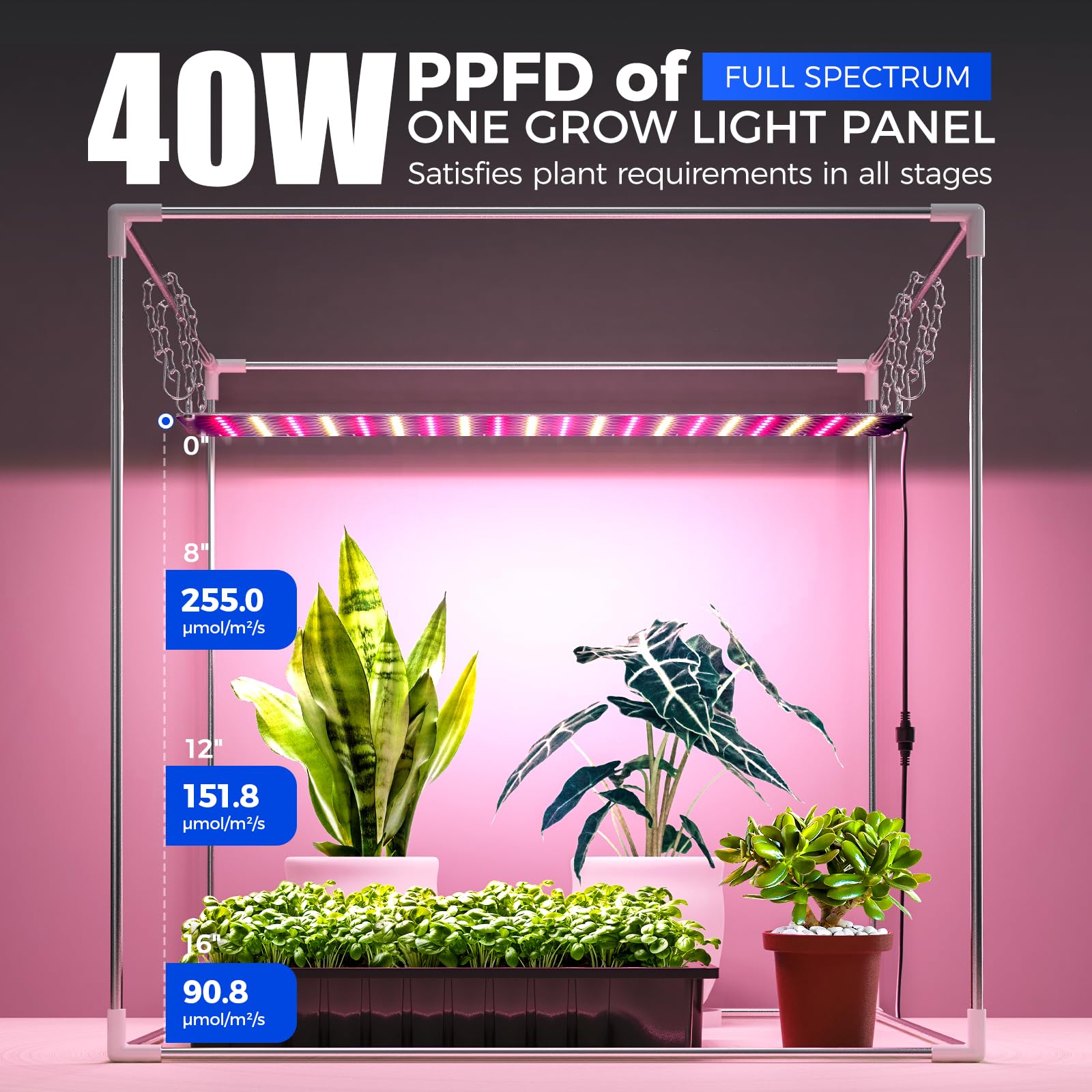Barrina setup supports seedling, microgreens, herbs, and sprouts at home.