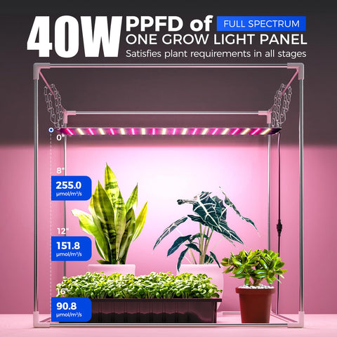 Barrina setup supports seedling, microgreens, herbs, and sprouts at home.