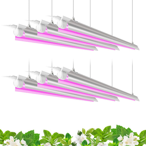Barrina LED grow light 6-pack setup for scalable indoor gardening