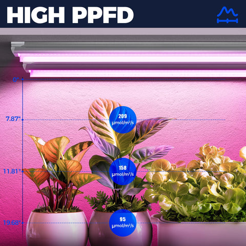 Barrina LED grow light full-spectrum glow for leafy greens