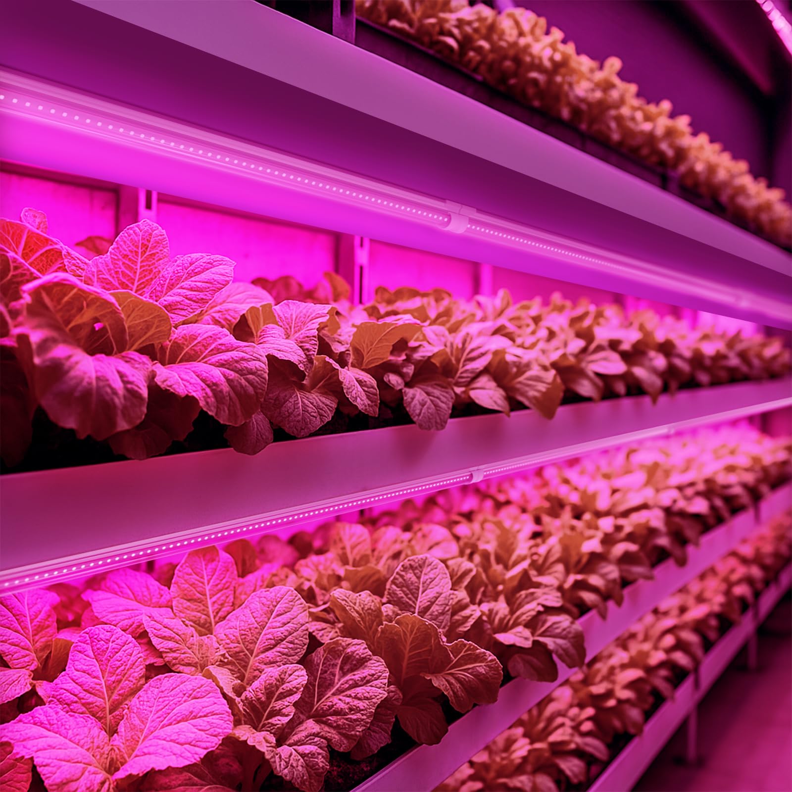 Barrina LED grow light 1152 LEDs array in compact form