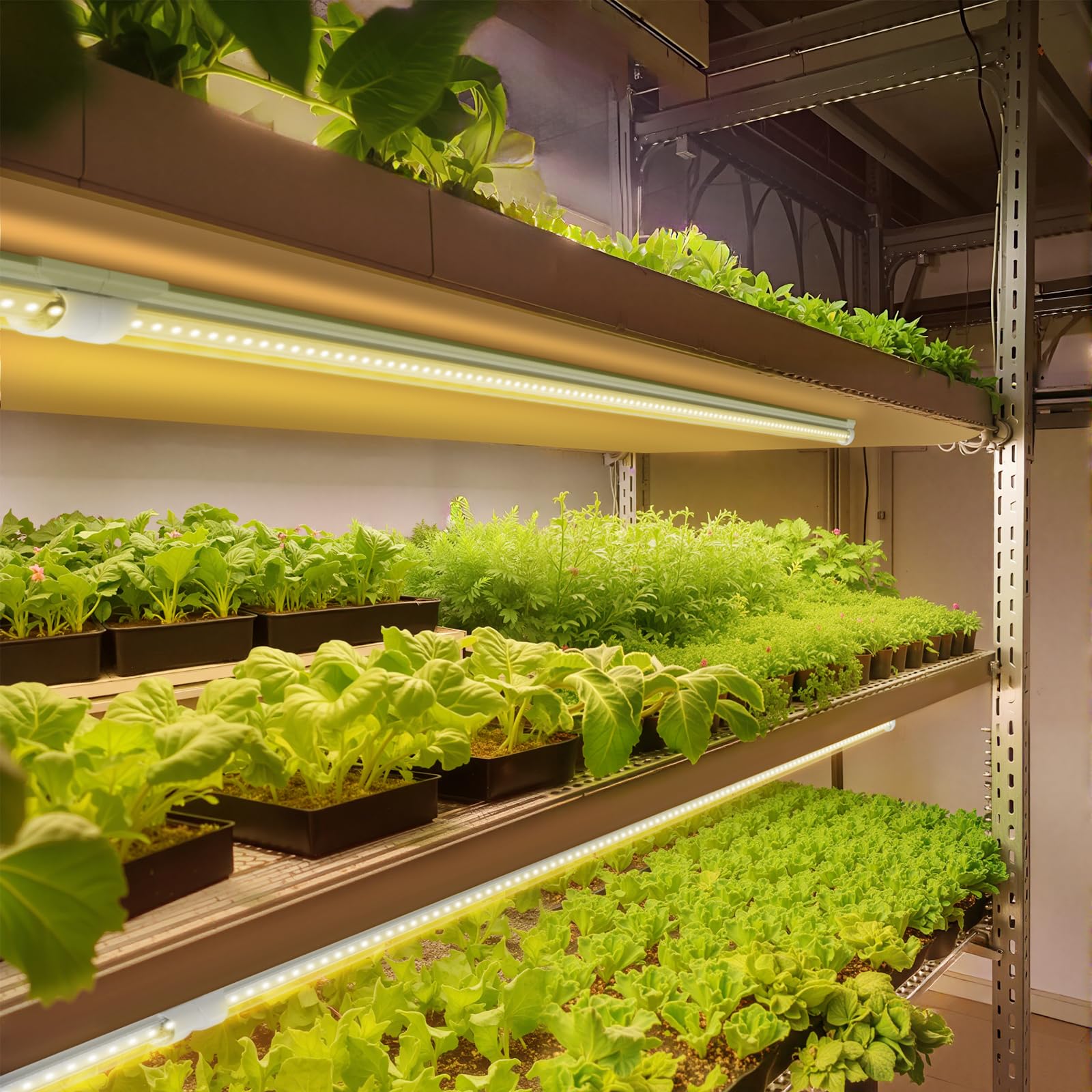 Barrina LED grow light strip for greens and leafy herbs