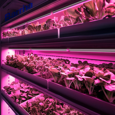 Barrina LED grow light aluminum shell offers efficient heat dissipation