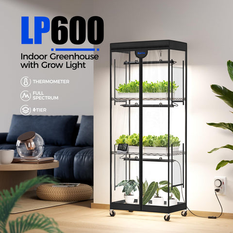 Barrina LP600 LED grow light array provides intense coverage for seedlings.