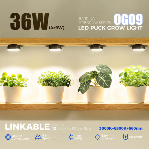 Barrina Orbgrow OG09 660nm red LED spectrum targets photosynthesis and flowering