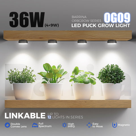 Barrina Orbgrow OG09 magnetic mount enables quick, secure shelf placement.