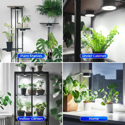 Barrina Orbgrow OG09 adjustable height helps optimize light distance.