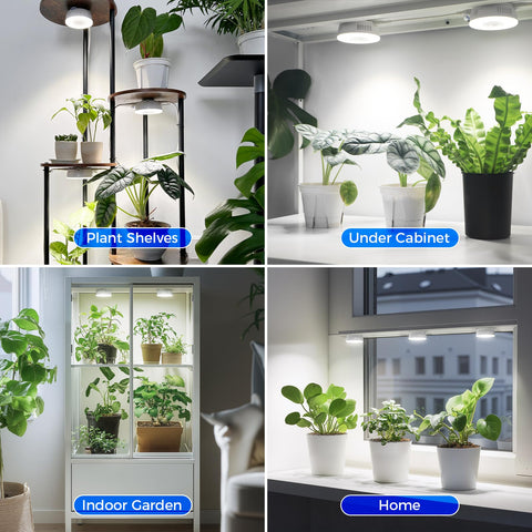 Barrina Orbgrow OG09 magnetic mount shows flexible placement.