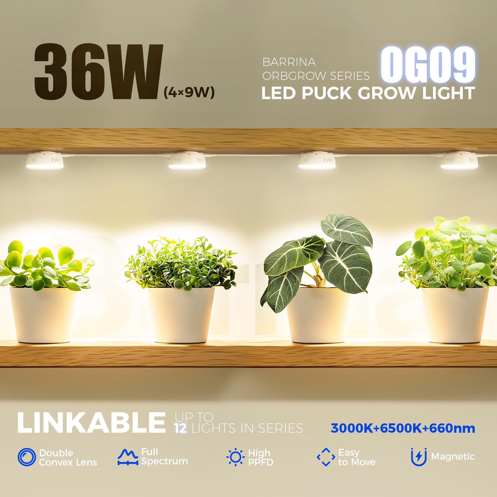 Barrina Orbgrow OG09 puck red LEDs ideal for shelf-top plant corner lighting.