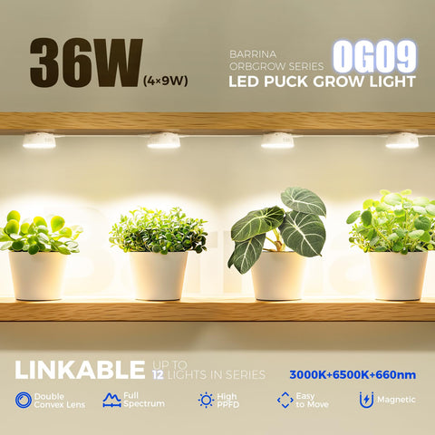 Barrina Orbgrow OG09 puck red LEDs ideal for shelf-top plant corner lighting.