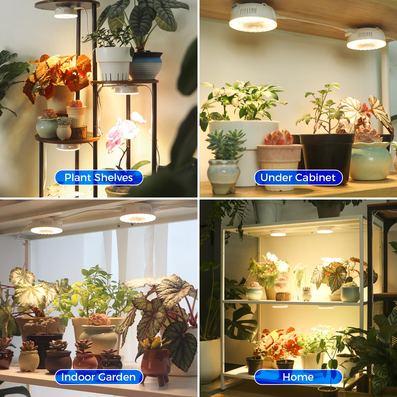 Barrina Orbgrow OG09 small grow lamp with high output.