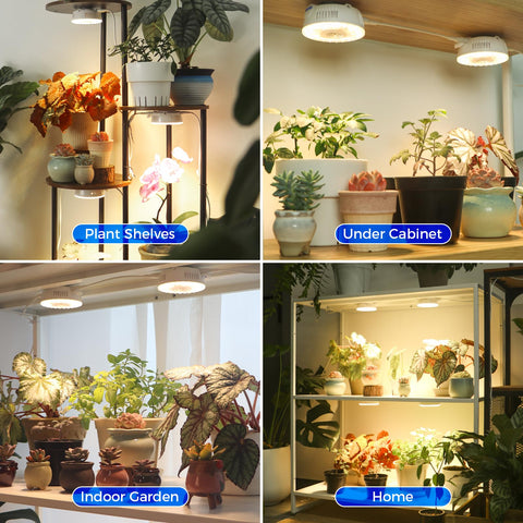 Barrina Orbgrow OG09 small grow lamp with high output.