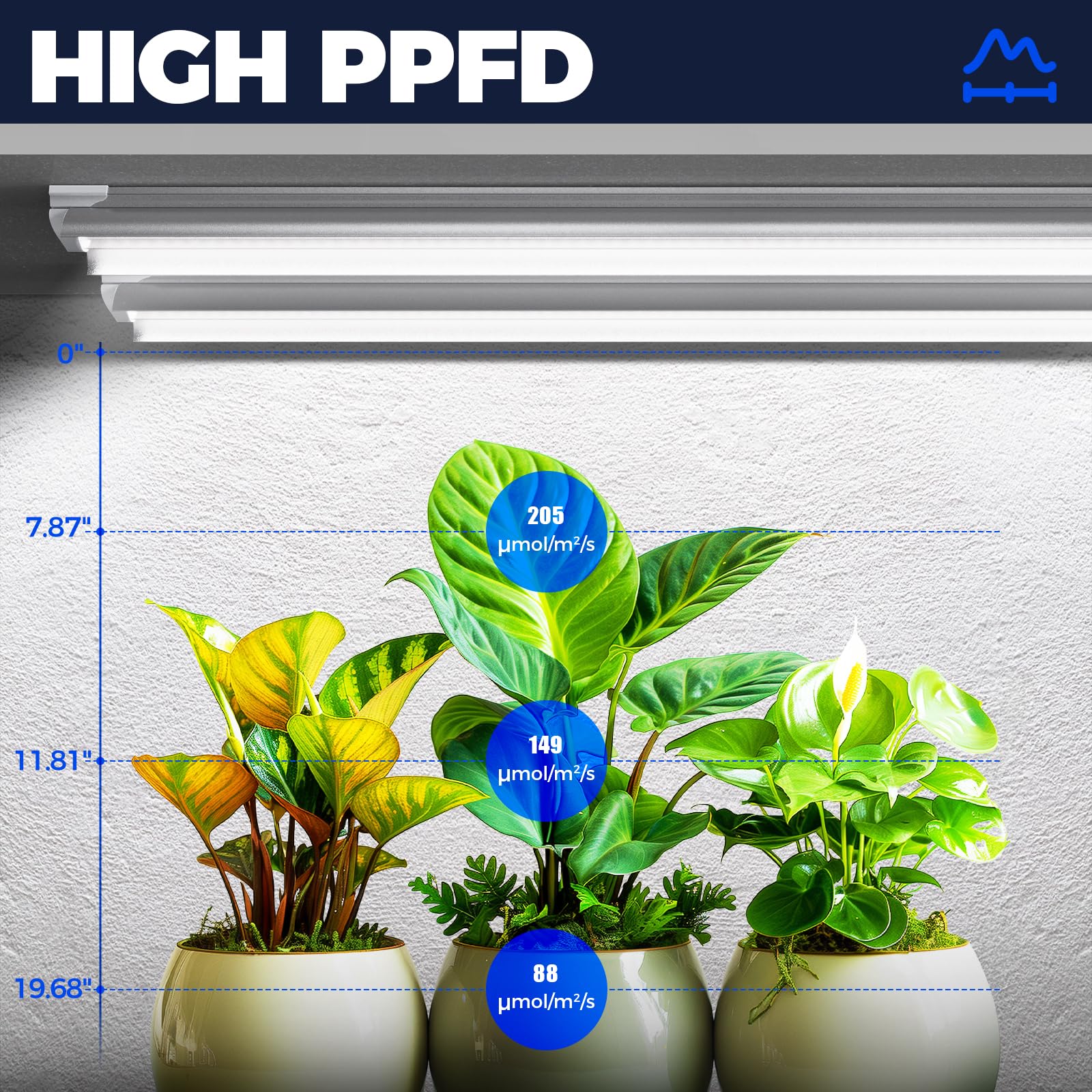 Barrina 5000K daylight-white spectrum ideal for indoor plant health