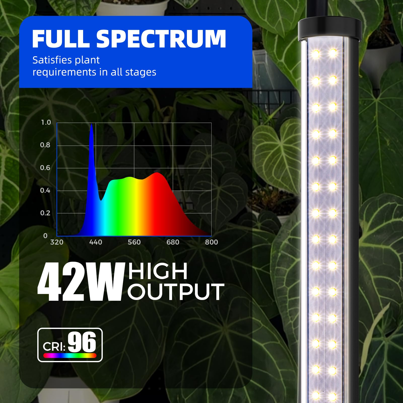 Barrina T10 Pro height adjustment range supports shelves and tall specimens.
