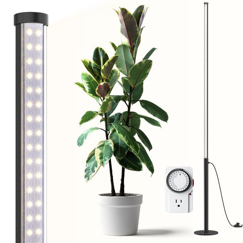 Barrina T10 Pro standing light base provides stable support for tall indoor plants.