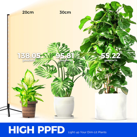 Barrina T10 side-lighting provides wide coverage for large pots.
