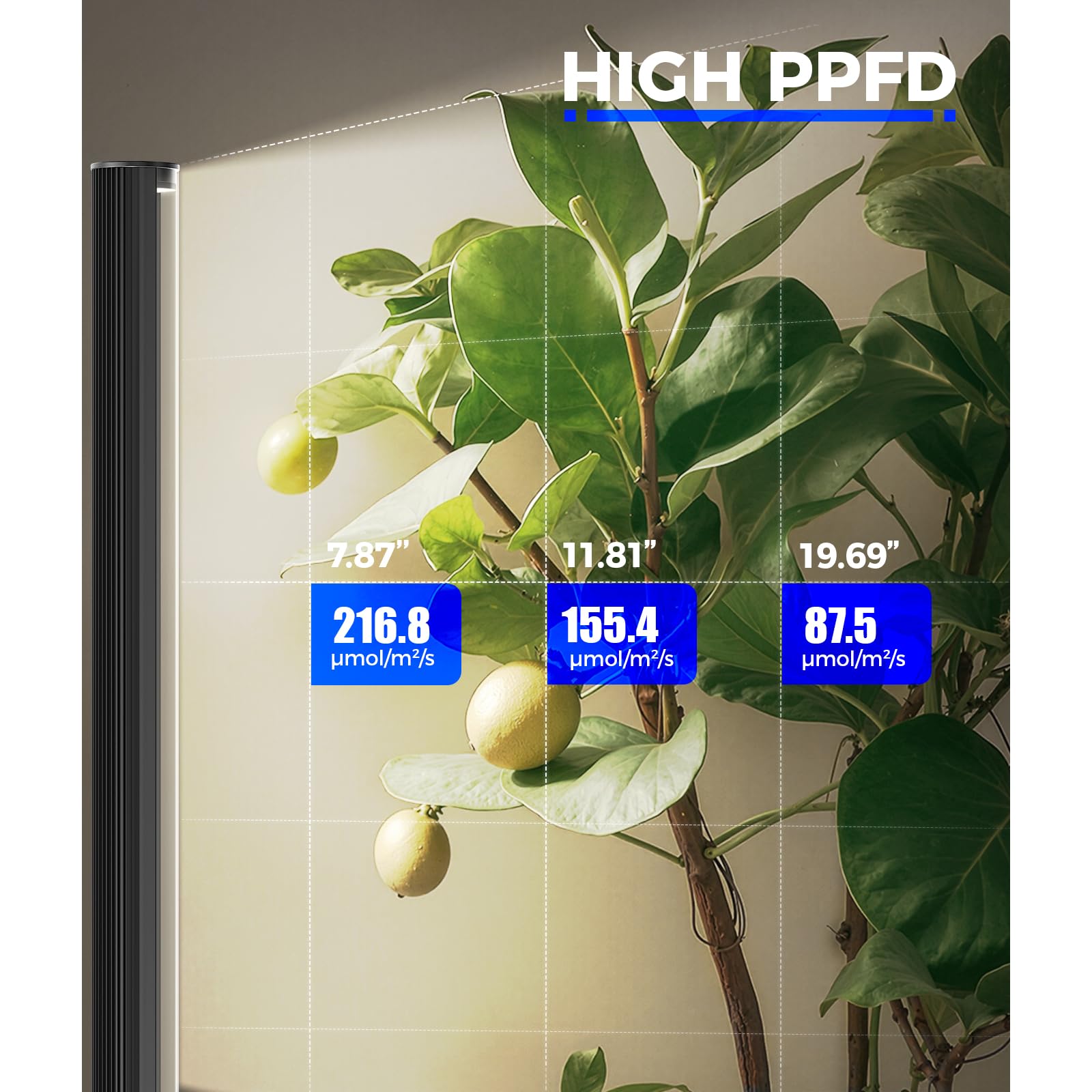 Barrina T1S full spectrum LED panel for vibrant plant growth