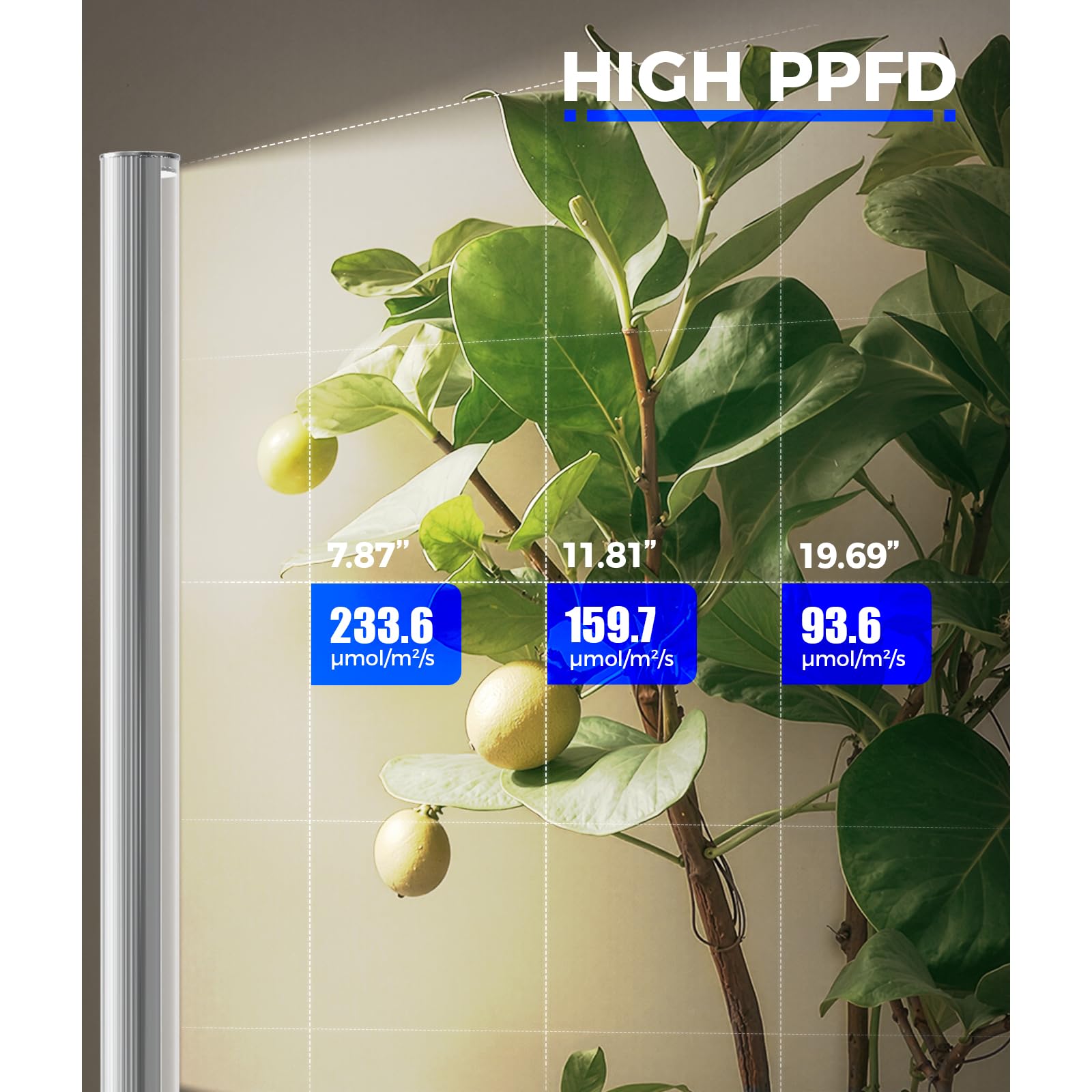 Barrina T1S full-spectrum LED delivers balanced light for healthy plant growth.
